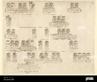 Die Genealogie Ihres Namens