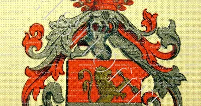 Die Etymologie von Meyer