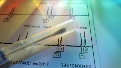 Wie man mit Ahnenforschung historische Ereignisse und Migrationen entdeckt