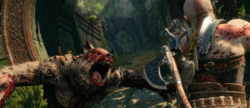 Wie man das Familienwappen findet